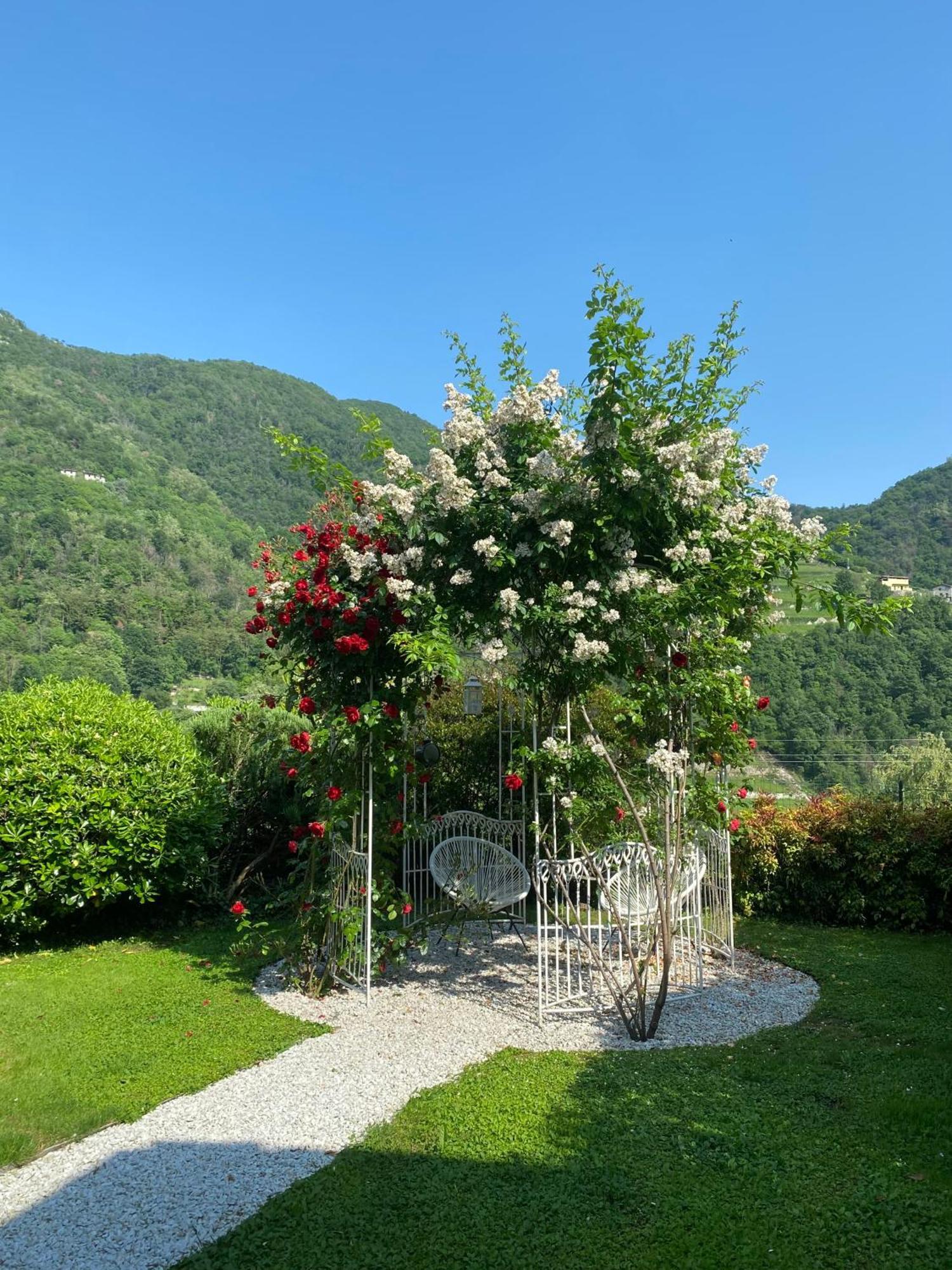 Bed And Breakfast Casa Del Nonno Adrara San Rocco Bagian luar foto